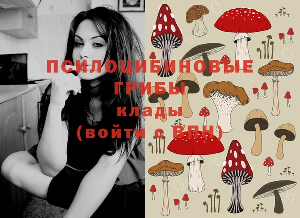 Альфа ПВП Белоозёрский