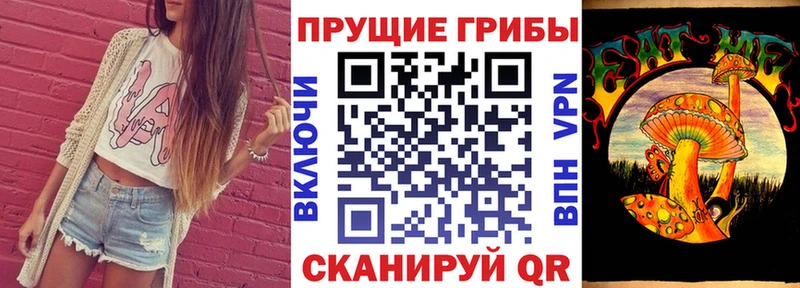Галлюциногенные грибы Psilocybe Курильск